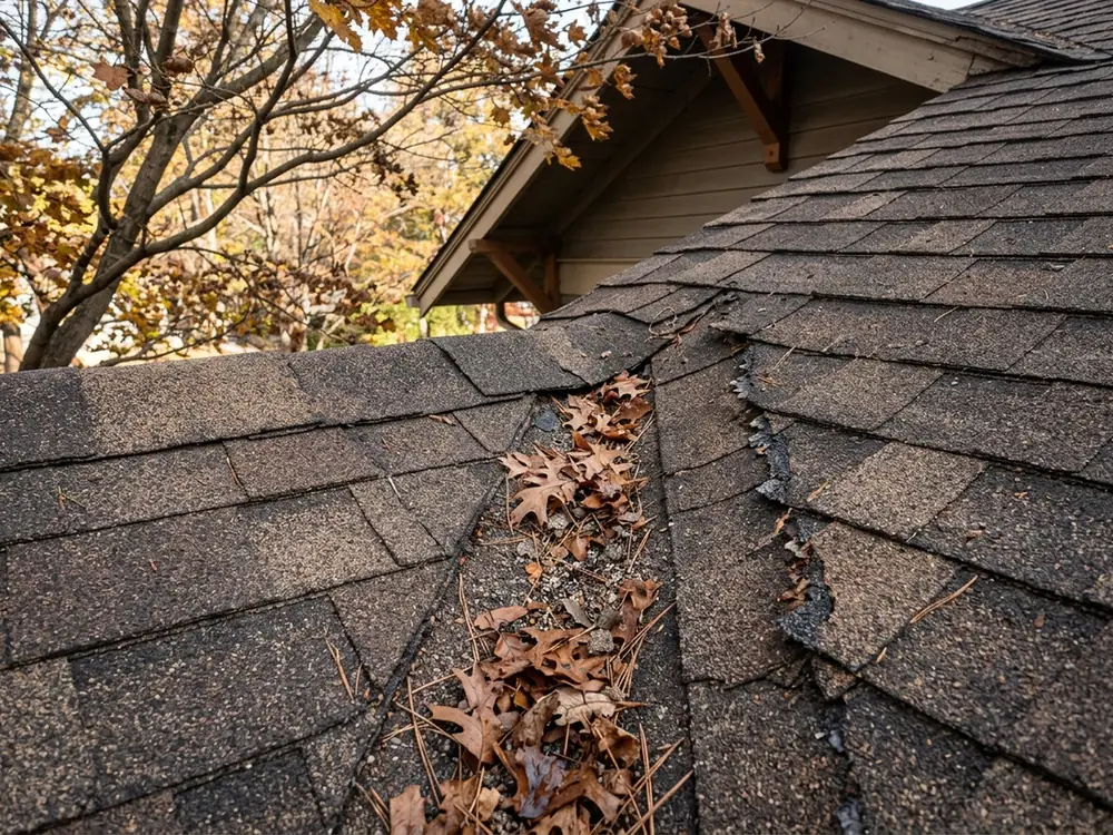 Closed-cut valley on an asphalt shingle roof with oak leaves and grit collected along the valley line