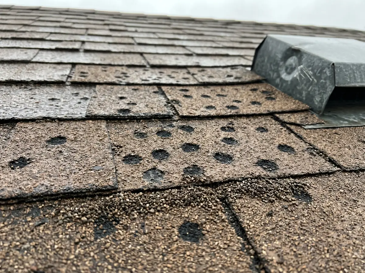 Close view of weathered asphalt shingles with scattered round dark spots where hail knocked off the granules